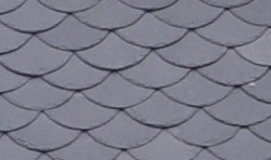 ����� �����