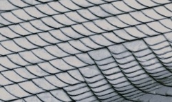 ���������� �������