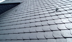 ������������ ������