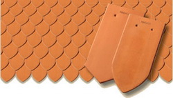 ������������ �������� Tondach ������ ���� ��������