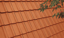 �80 / E81 - ������� ��������