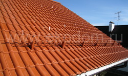 ������ ���������������