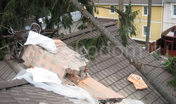 ������ ���������� ��������