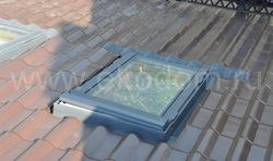 ������ ���������� ����